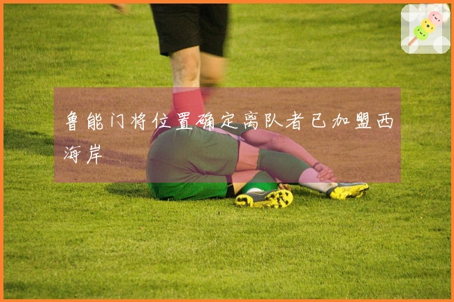 鲁能门将位置确定离队者已加盟西海岸